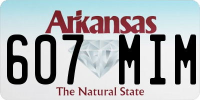 AR license plate 607MIM