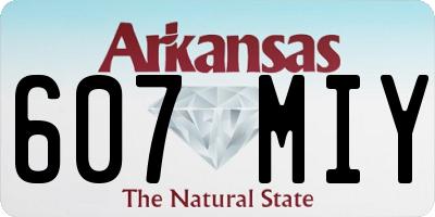 AR license plate 607MIY