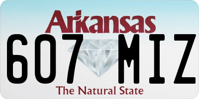 AR license plate 607MIZ