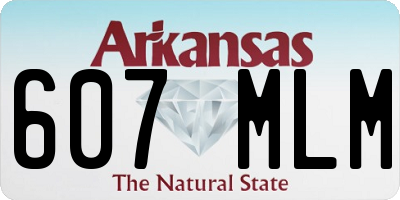 AR license plate 607MLM