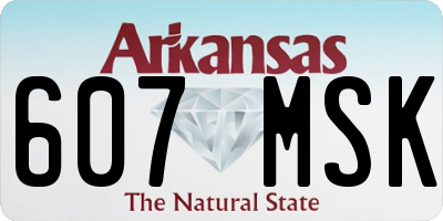 AR license plate 607MSK