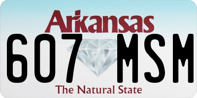 AR license plate 607MSM
