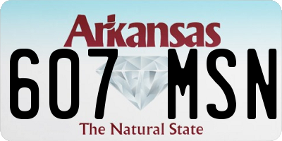 AR license plate 607MSN