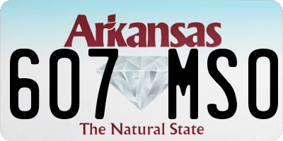 AR license plate 607MSO