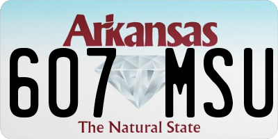 AR license plate 607MSU