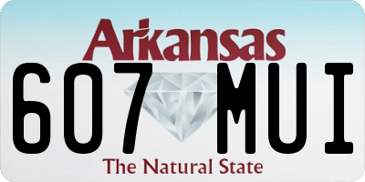 AR license plate 607MUI