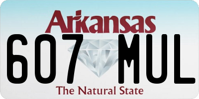 AR license plate 607MUL