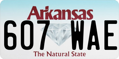 AR license plate 607WAE