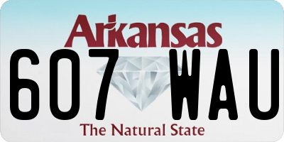 AR license plate 607WAU