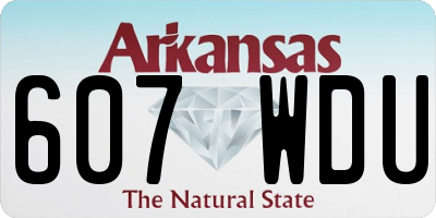 AR license plate 607WDU