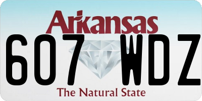 AR license plate 607WDZ
