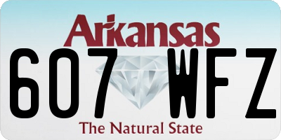 AR license plate 607WFZ