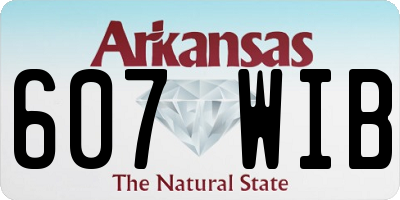 AR license plate 607WIB