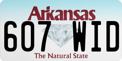 AR license plate 607WID