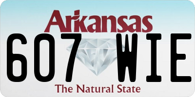 AR license plate 607WIE