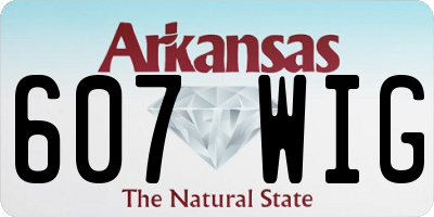 AR license plate 607WIG