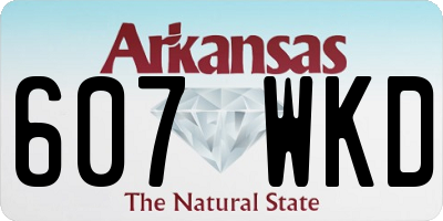 AR license plate 607WKD