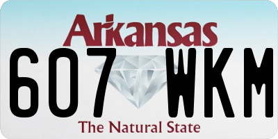 AR license plate 607WKM