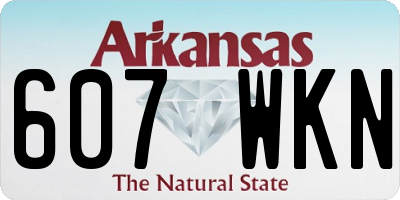 AR license plate 607WKN