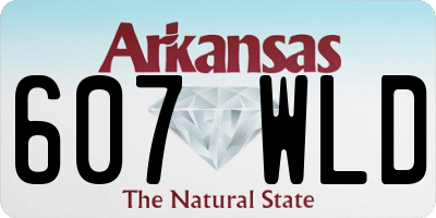 AR license plate 607WLD