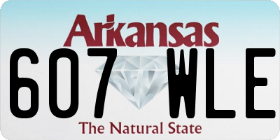 AR license plate 607WLE