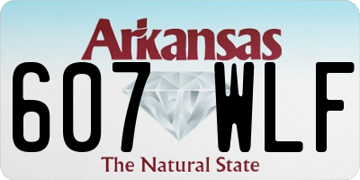 AR license plate 607WLF