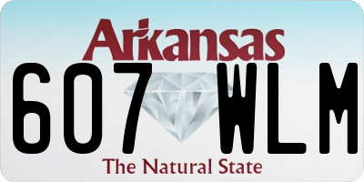 AR license plate 607WLM