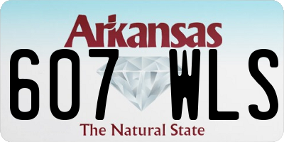 AR license plate 607WLS