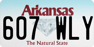 AR license plate 607WLY