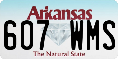 AR license plate 607WMS