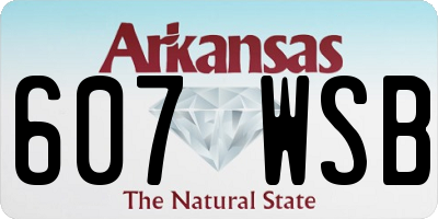 AR license plate 607WSB