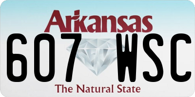 AR license plate 607WSC