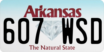 AR license plate 607WSD