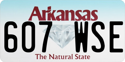 AR license plate 607WSE