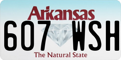 AR license plate 607WSH