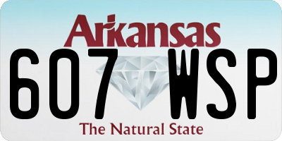 AR license plate 607WSP