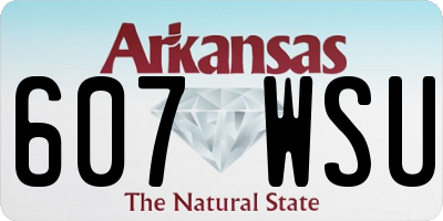 AR license plate 607WSU