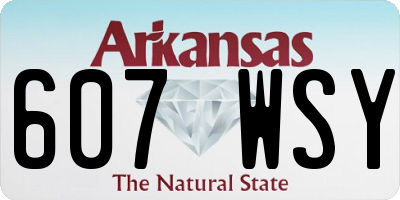 AR license plate 607WSY