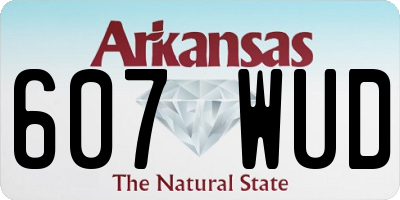 AR license plate 607WUD