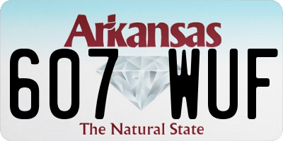 AR license plate 607WUF