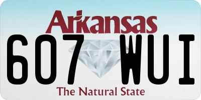 AR license plate 607WUI
