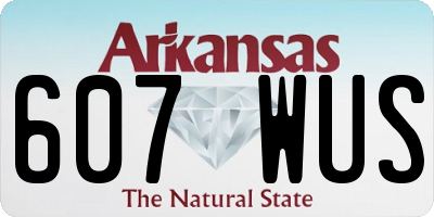 AR license plate 607WUS