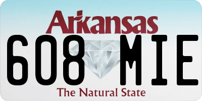 AR license plate 608MIE