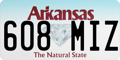 AR license plate 608MIZ