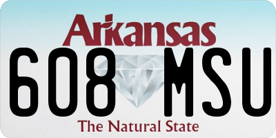 AR license plate 608MSU