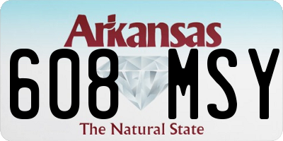 AR license plate 608MSY
