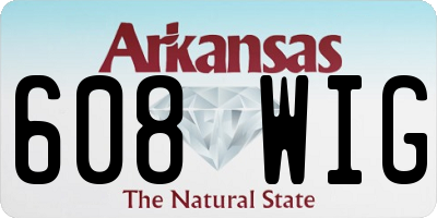 AR license plate 608WIG