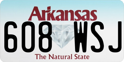 AR license plate 608WSJ