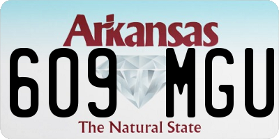 AR license plate 609MGU