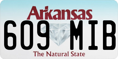 AR license plate 609MIB